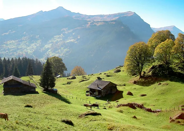 Abendrot Apartments-26 By Interhome Grindelwald